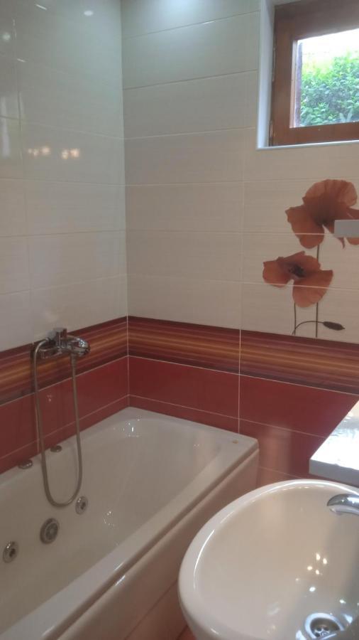 Apartments Jovana Petrovac Ngoại thất bức ảnh
